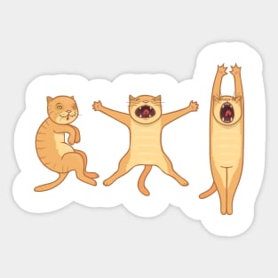 3 steps of stretching the cat Sticker